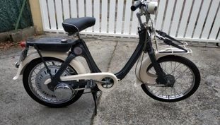p50